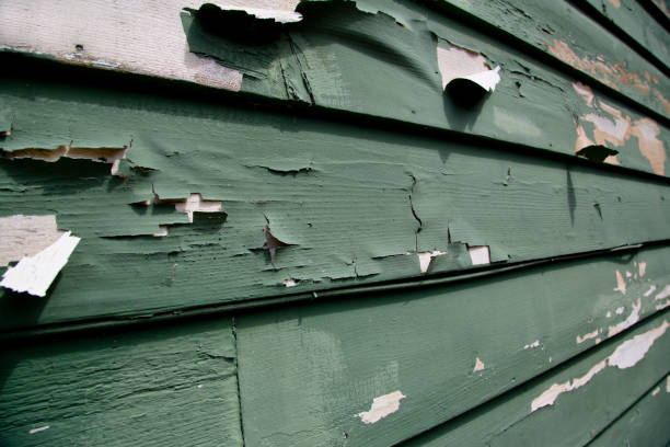 Best Siding Repair  in Genoa, AR